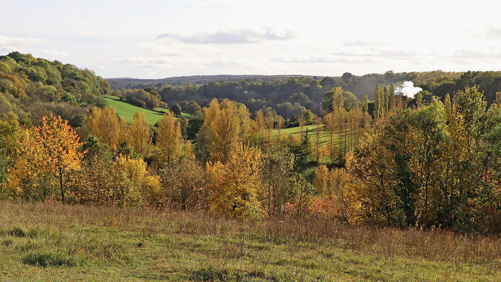 The Severn valley in autumn near Alveley