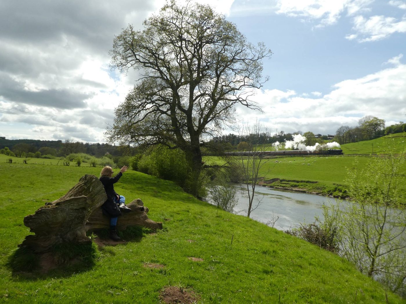 Riverside meadow and a big tree seen from the water on the River Severn
