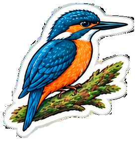 Kingfisher