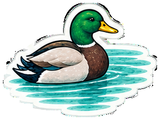 Mallard duck